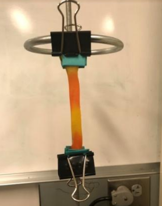 A ring stand attached to one binder clip that holds a vertical orange and yellow gummy worm. The second binder clip at the end of the candy is used to hold various weights and elongate the candy. . 