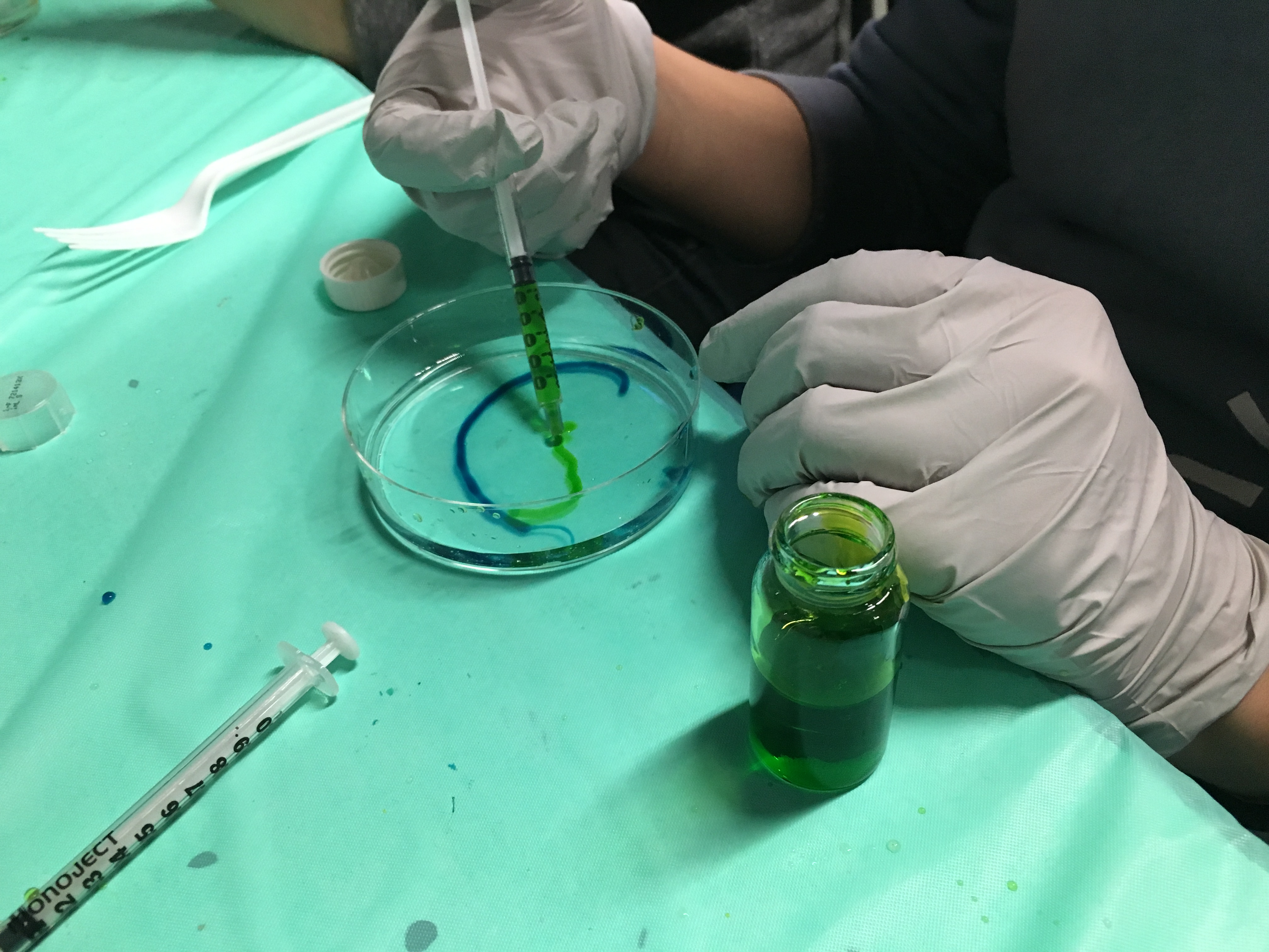 Spaghetti - sodium alginate