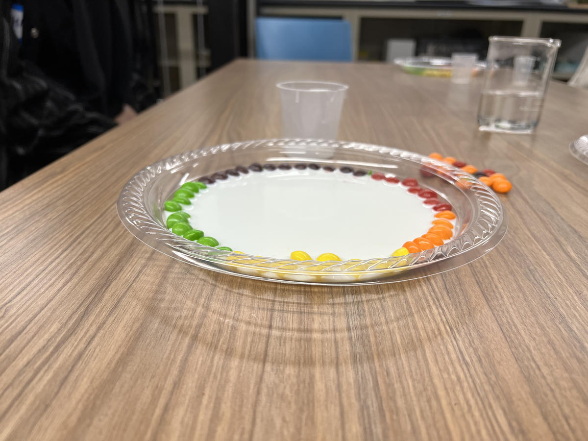 A plate of Skittles in milk that shows no diffusion of colors. 
