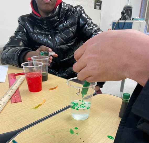 Students creating green beads of sodium alginate/calcium chloride gel